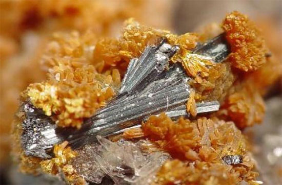 Hutchinsonite.Tali Hutchinsonite.Tali